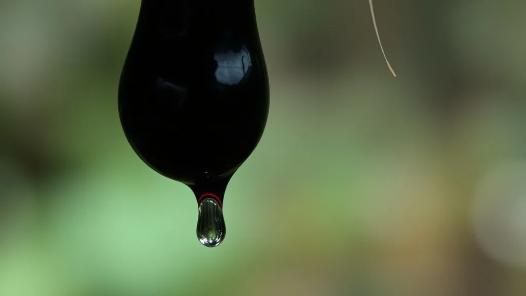 Dream symbol: black ferret saliva: symbolism: Unacknowledged Anger or Resentment