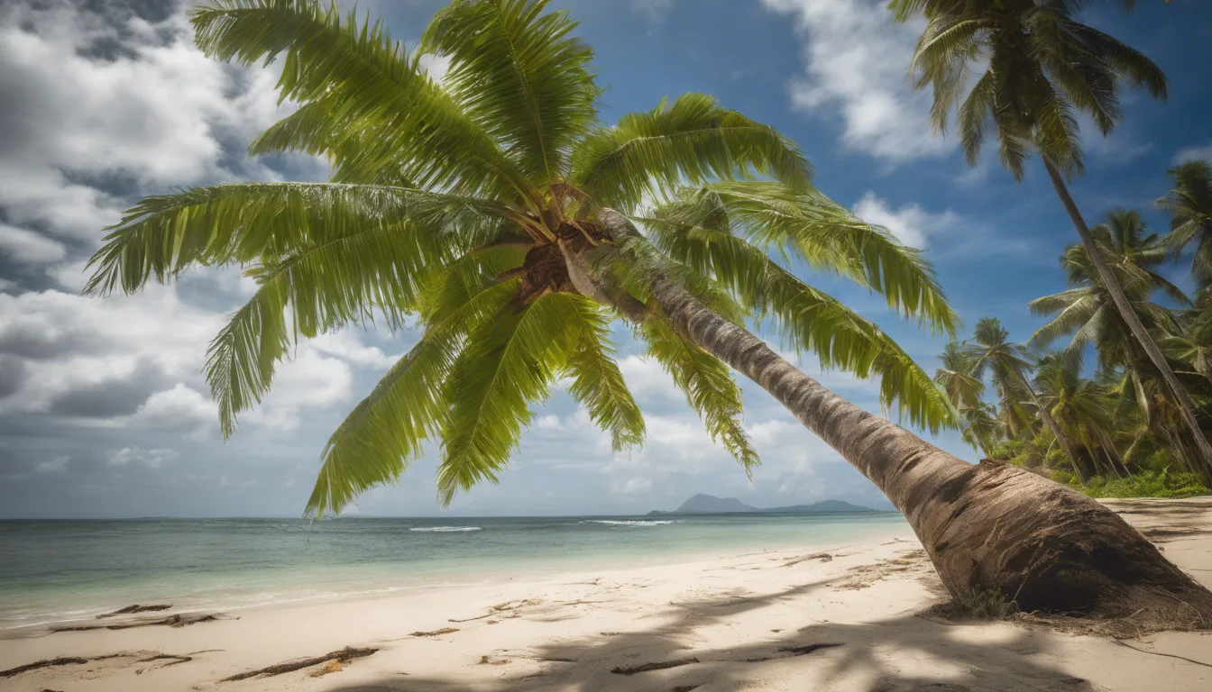 Dream symbol: coconut: symbolism: Versatility and Adaptability