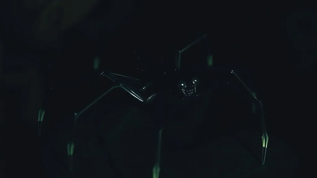 Dream symbol: black spider-like creature: symbolism: The Power of Intuition and the Unconscious
