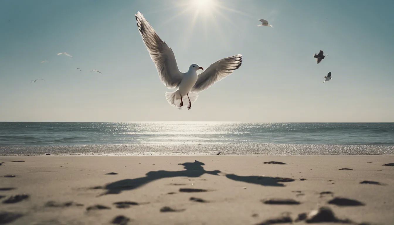 Dream symbol: bird poop: intro