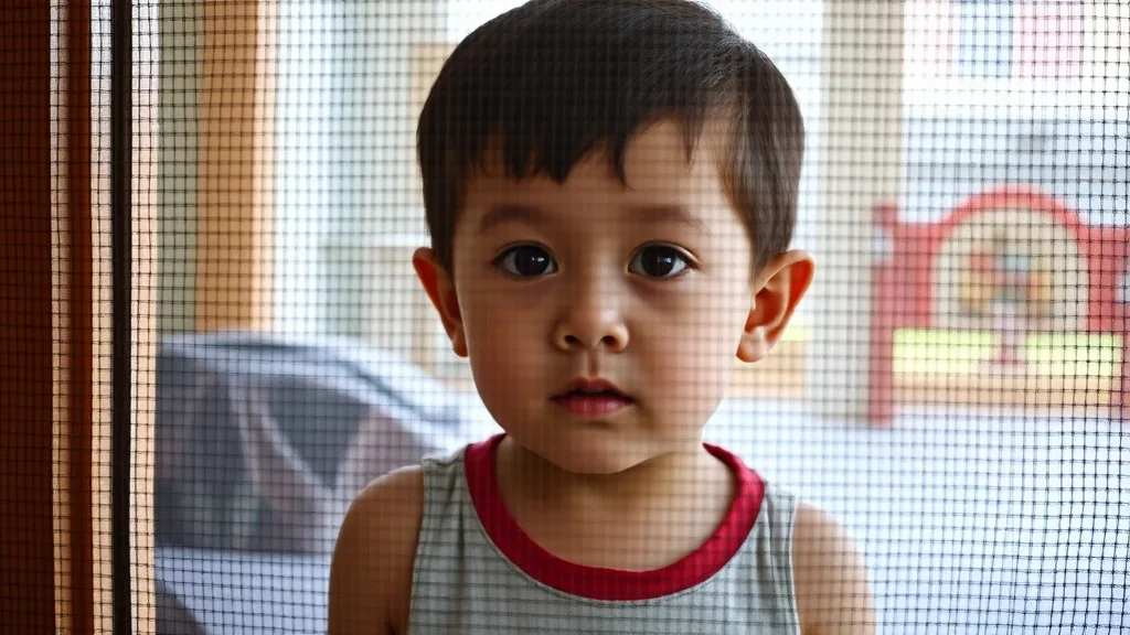 Dream symbol: screen door: demographics: Children and Adolescents