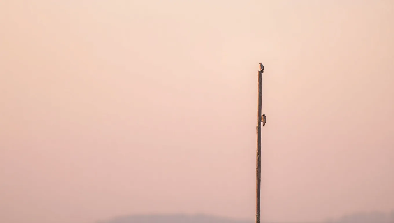 Dream symbol: tall pole: scenarios: Dream about a Tall Pole with Birds Perched Dream symbol: tall pole: scenarios: Dream about a Tall Pole with Birds Perched
