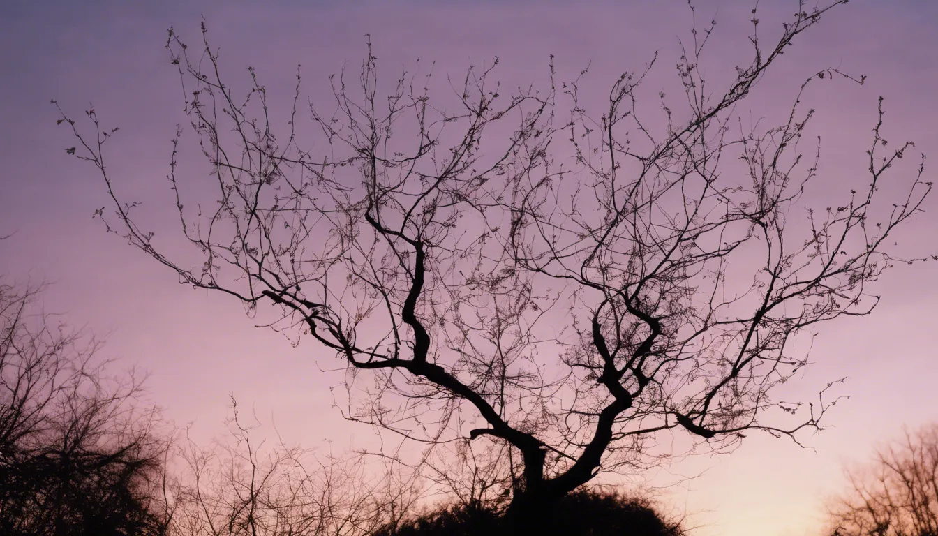 Dream symbol: twig: intro