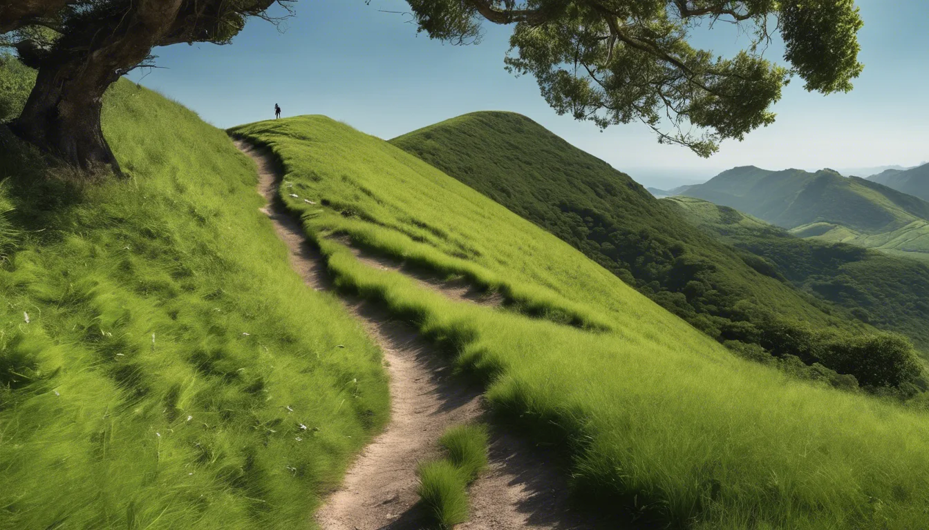 Dream symbol: hill area: intro