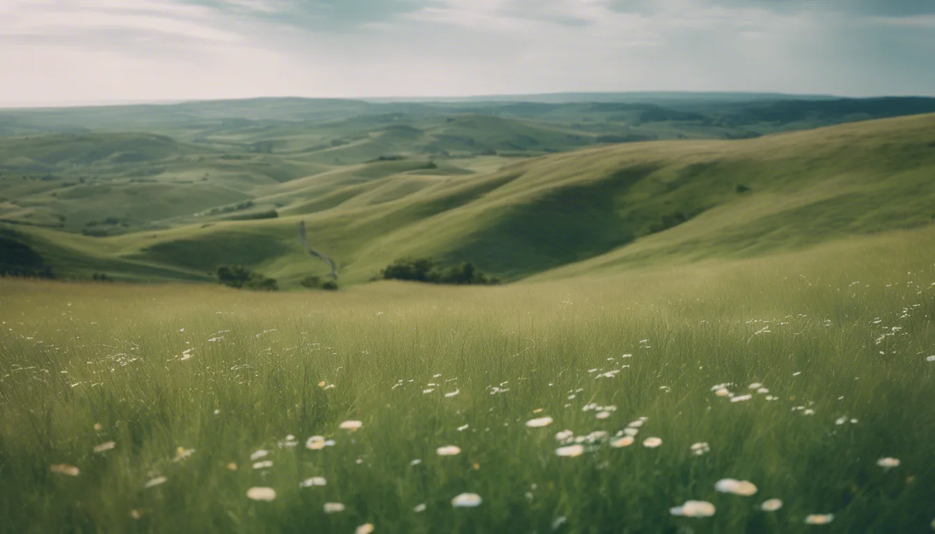 Grass Covered Hills: Uncovering Their Dream Meaning