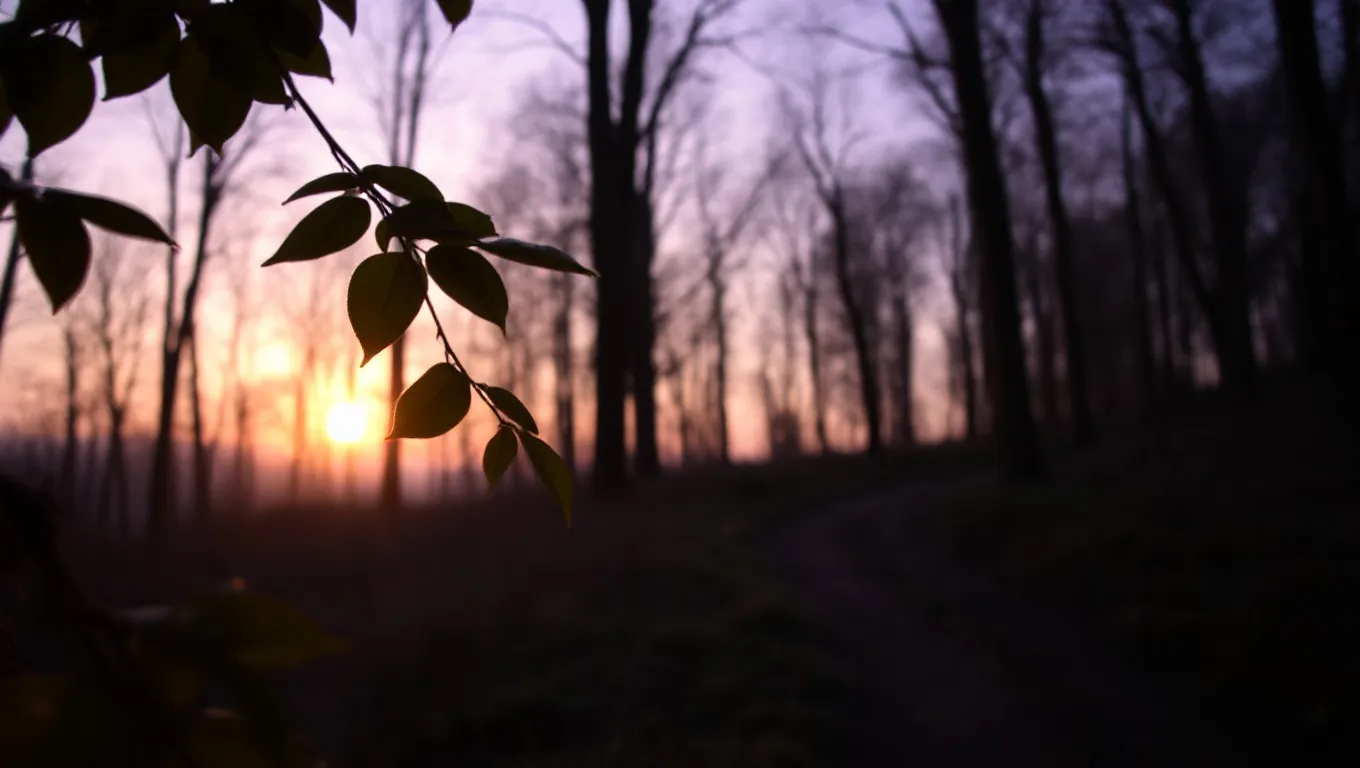 Dream symbol: movement sound: symbolism: Manifestations of Anticipation or Excitement Dream symbol: movement sound: symbolism: Manifestations of Anticipation or Excitement