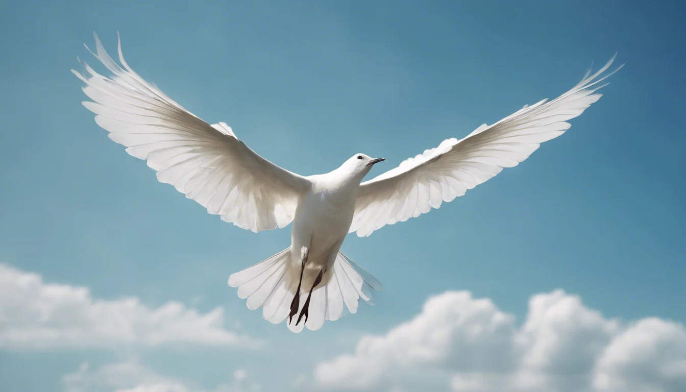 Dream symbol: white bird: demographics: People with Open Minds